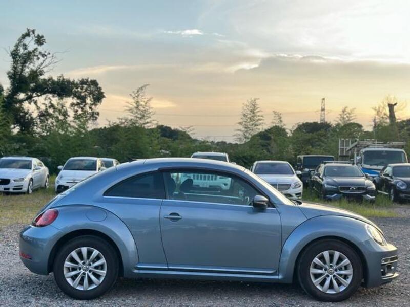THE BEETLE