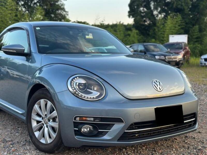THE BEETLE