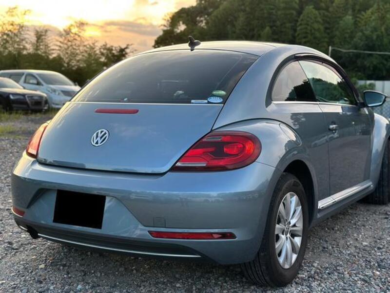 THE BEETLE