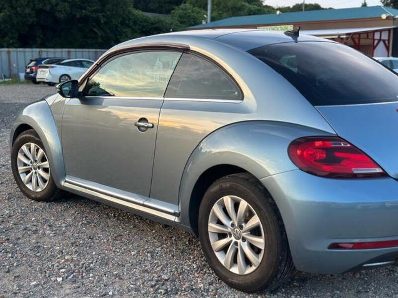 THE BEETLE