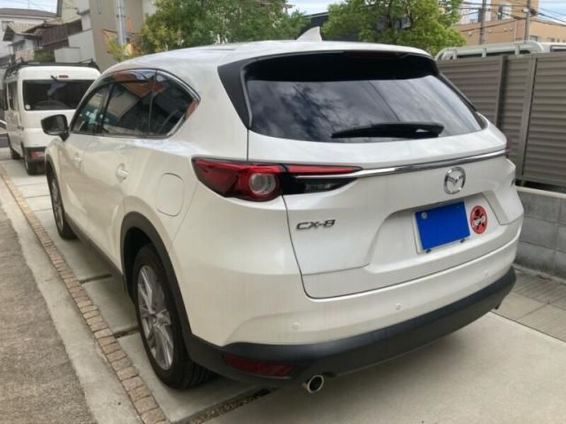 CX-8
