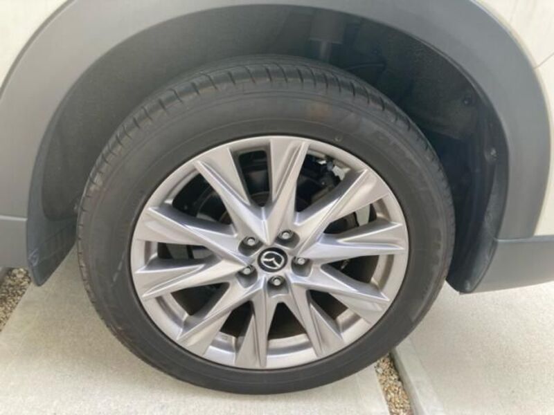 CX-8