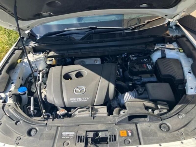CX-8
