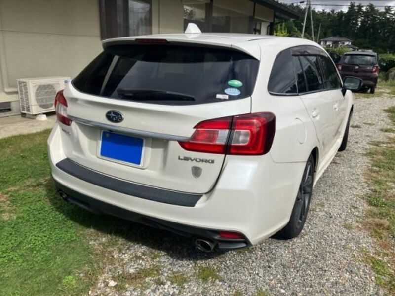 LEVORG