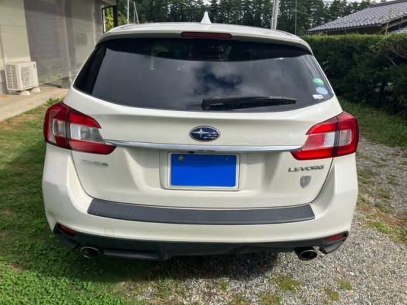LEVORG