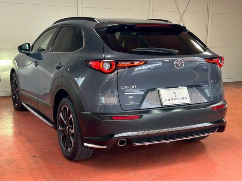 CX-30