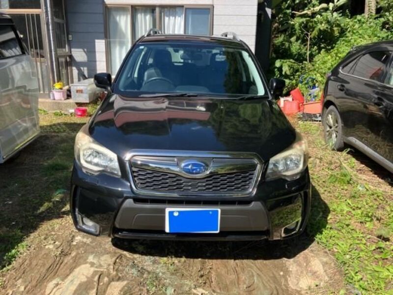 FORESTER-0