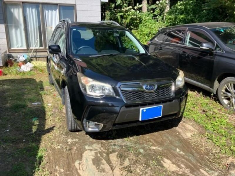 FORESTER
