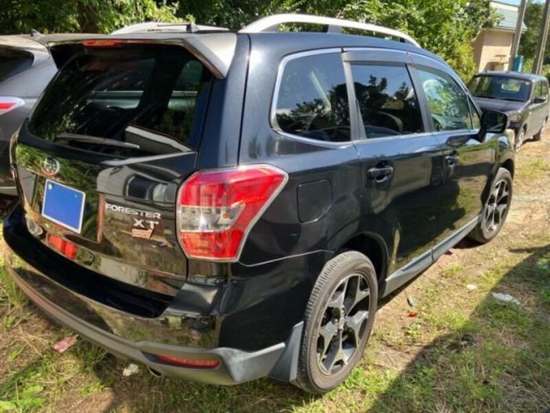 FORESTER