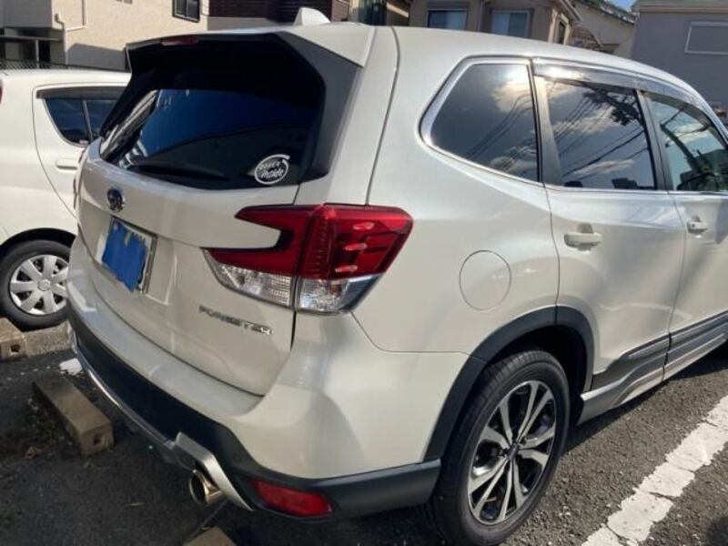 FORESTER