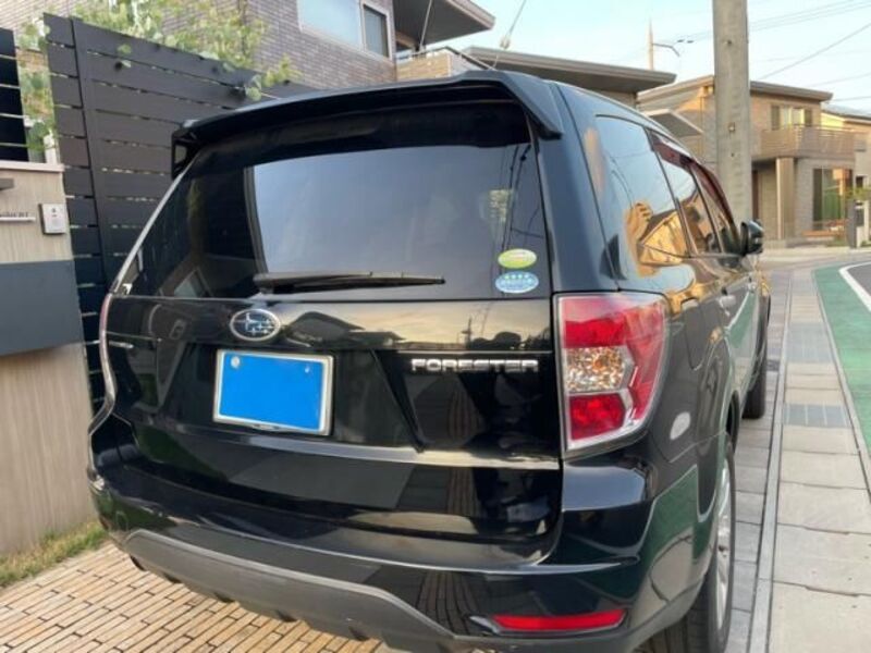 FORESTER
