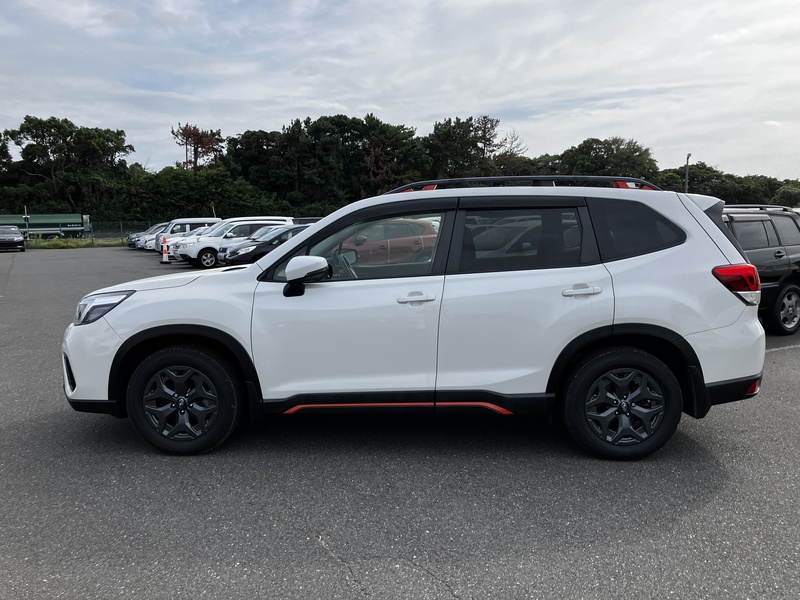 FORESTER