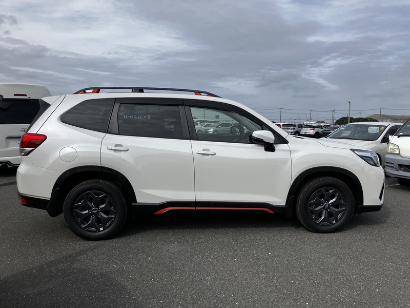FORESTER