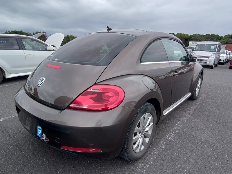 BEETLE