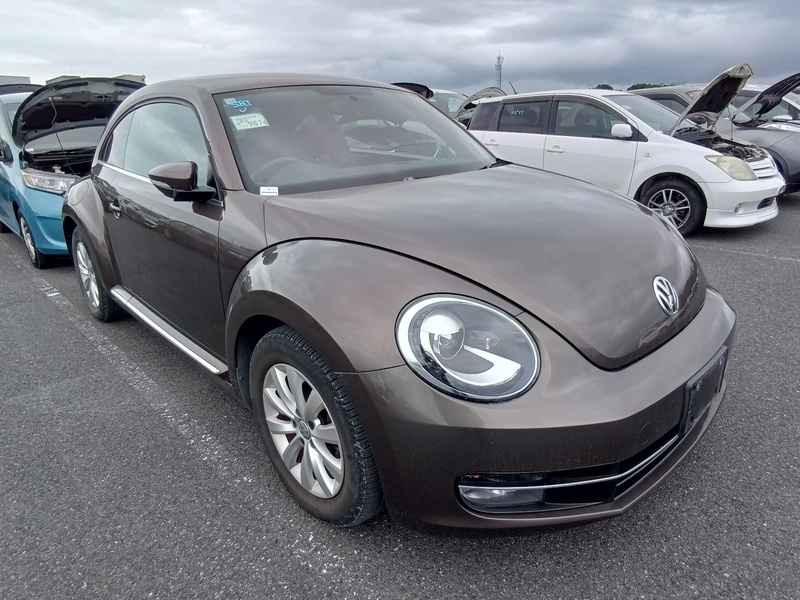 BEETLE