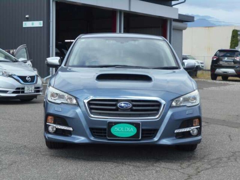 LEVORG