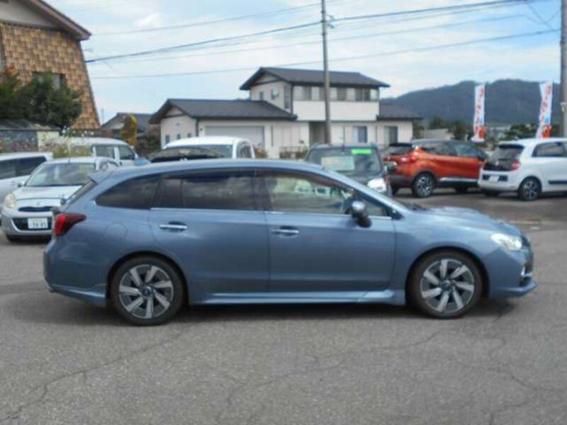LEVORG
