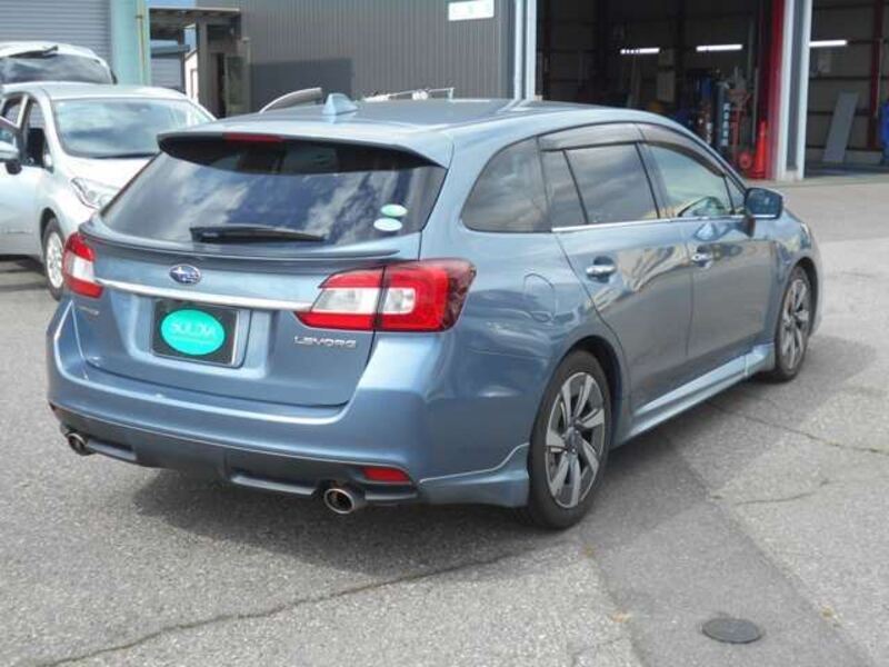 LEVORG