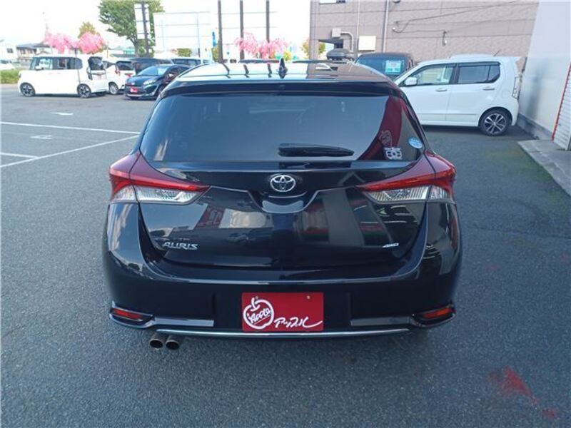 AURIS