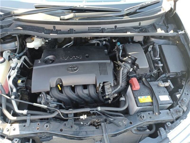 AURIS