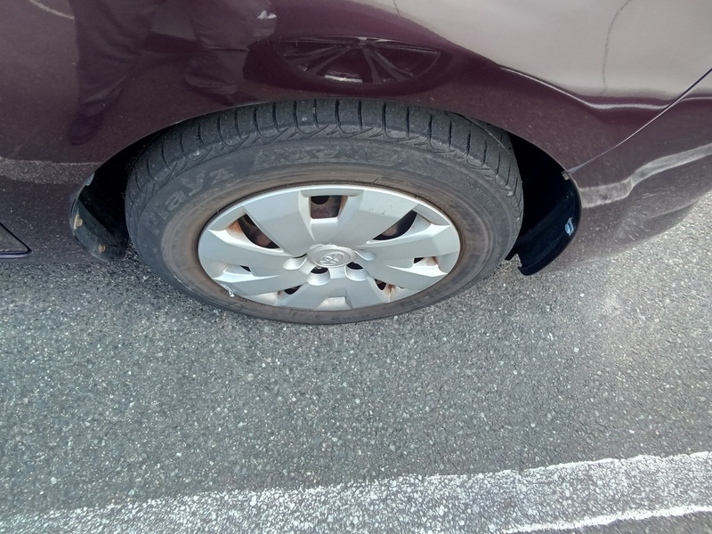 COROLLA RUMION