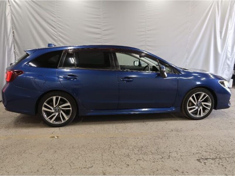 LEVORG