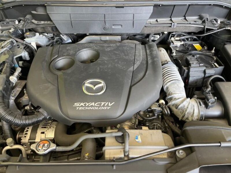CX-8
