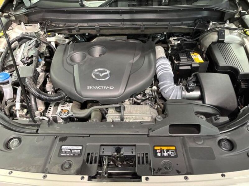 CX-8