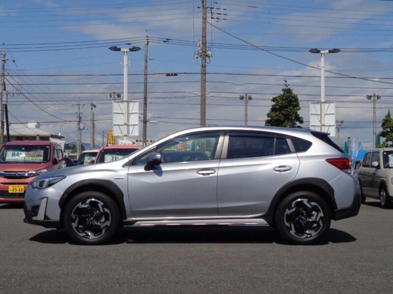 XV