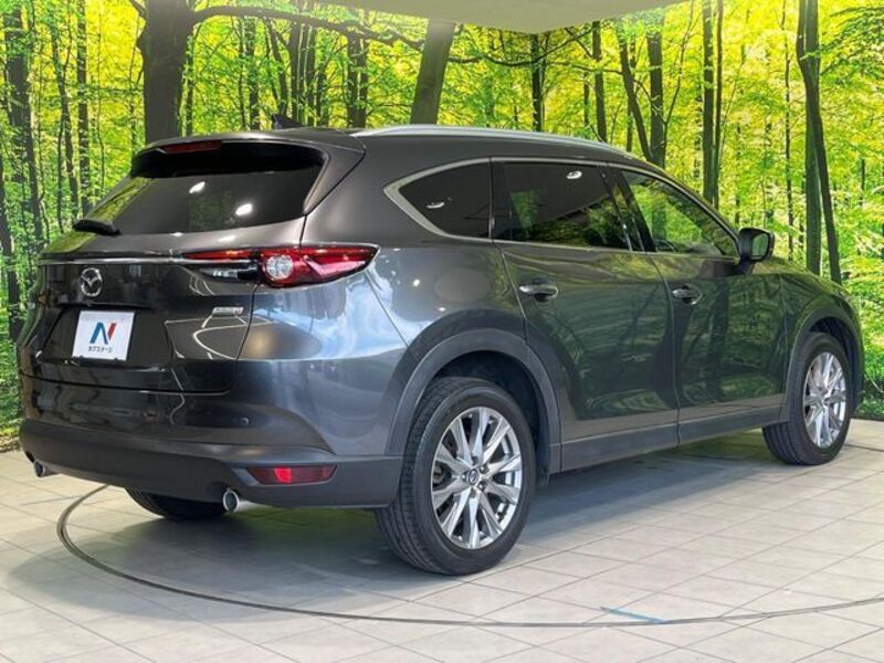 CX-8
