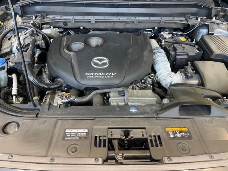 CX-8