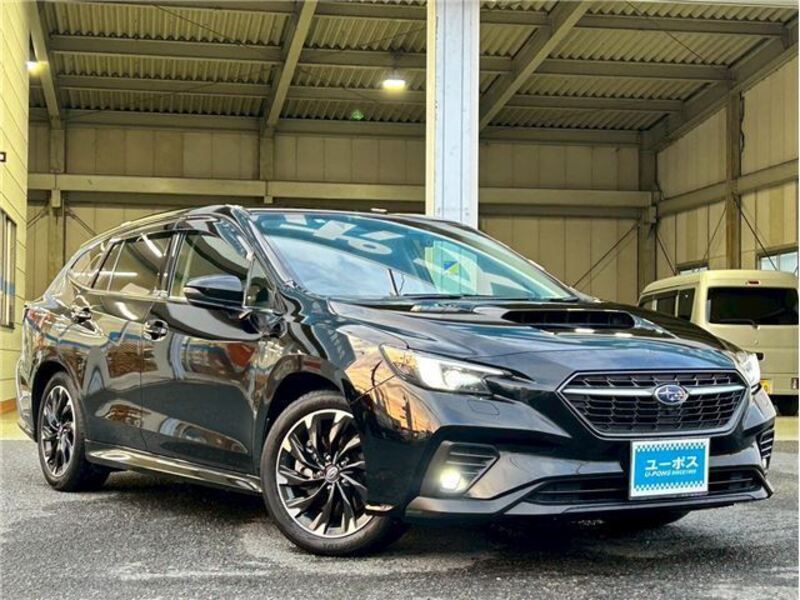 LEVORG-0