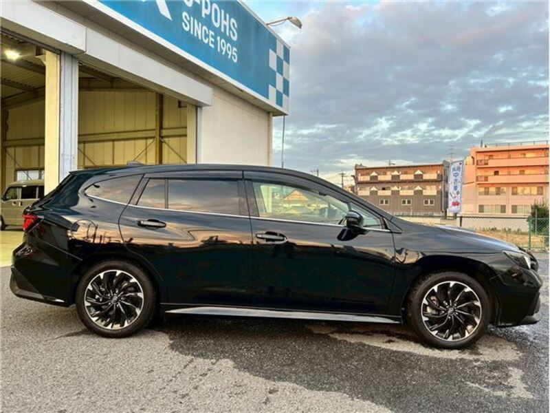 LEVORG