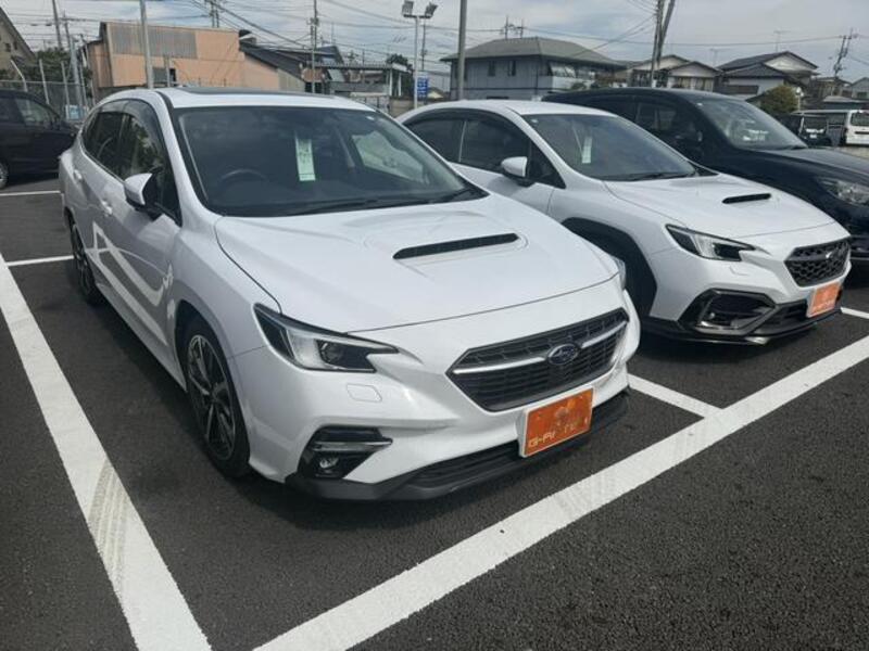 LEVORG-0
