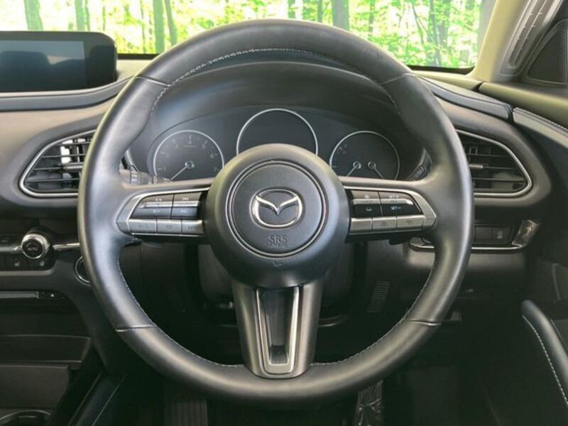 CX-30