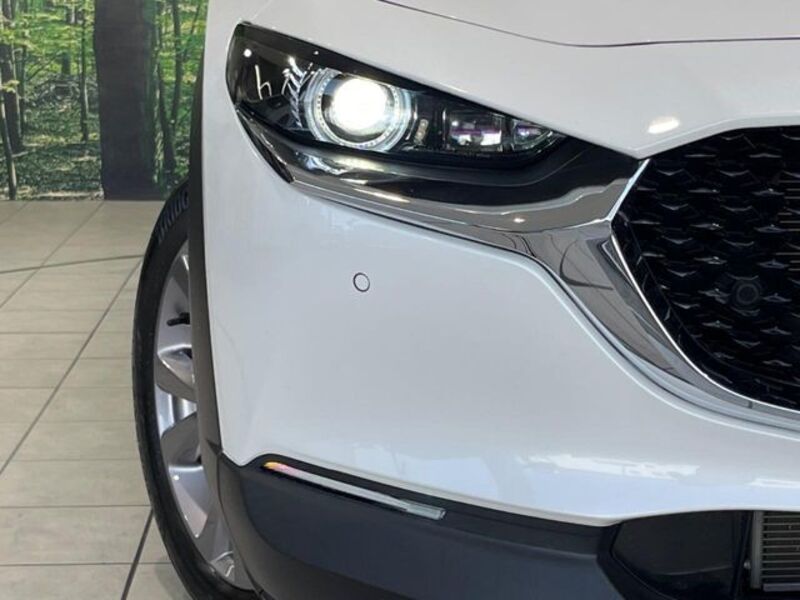 CX-30