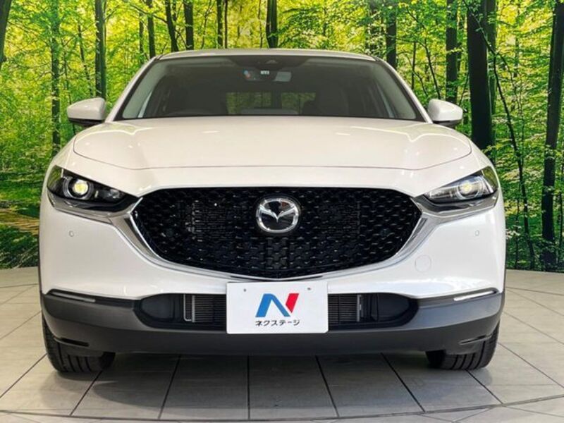 CX-30