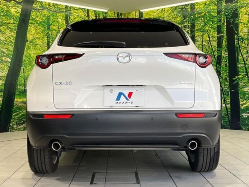 CX-30