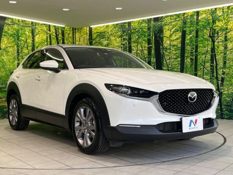 CX-30