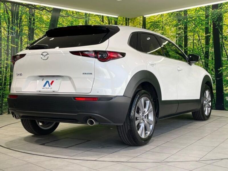 CX-30