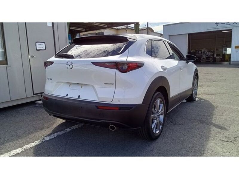 CX-30