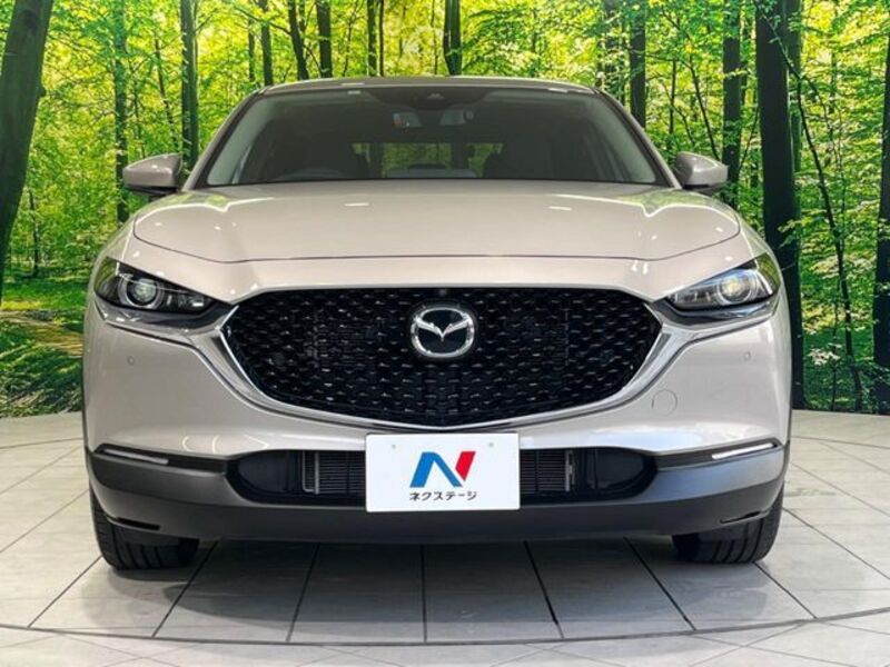 CX-30