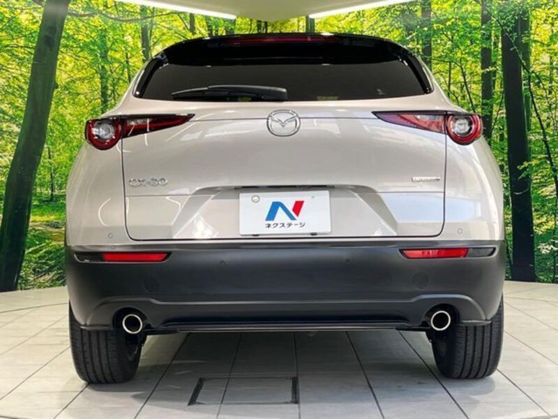 CX-30