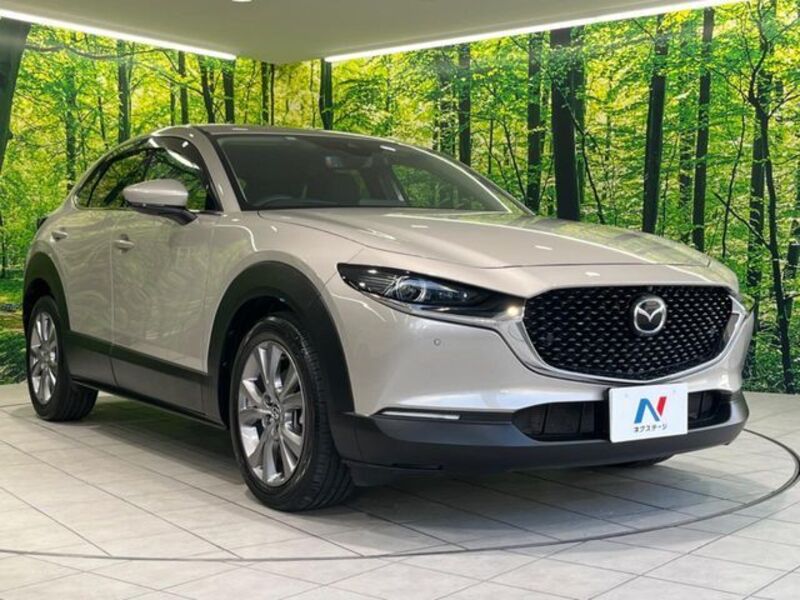 CX-30