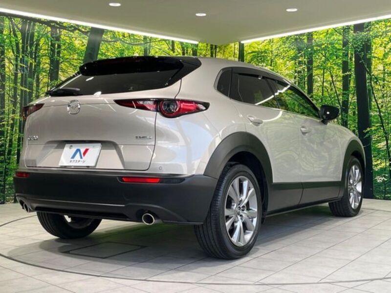 CX-30