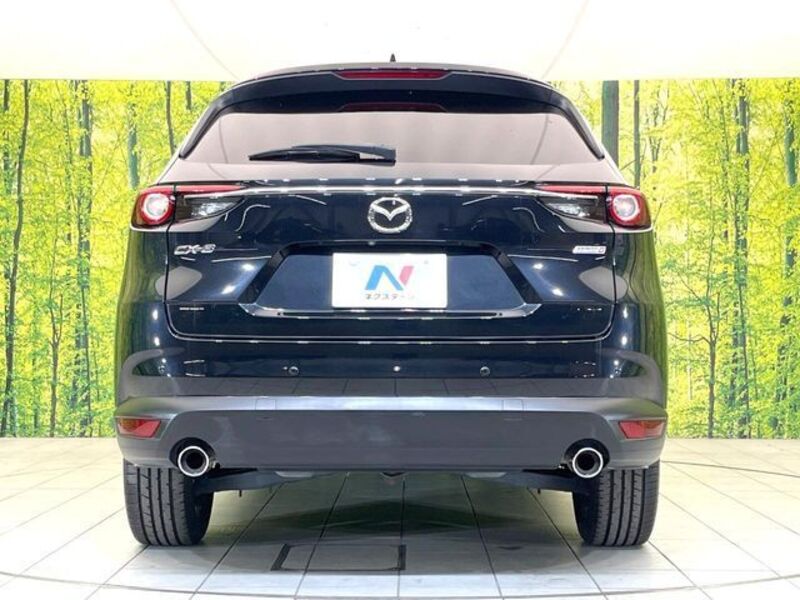 CX-8
