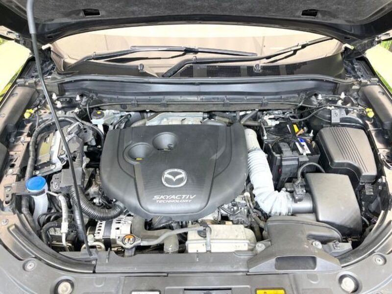CX-8