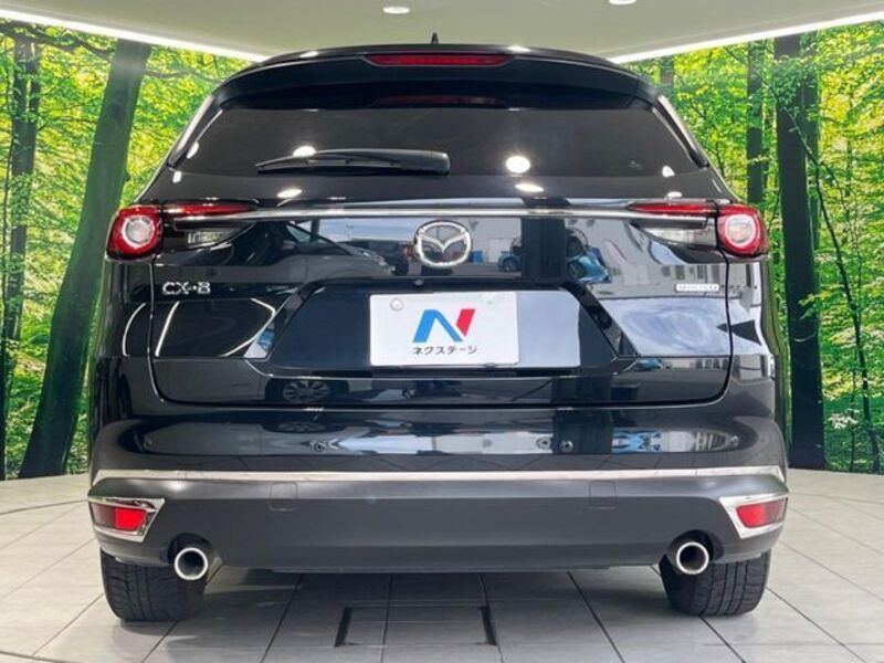 CX-8