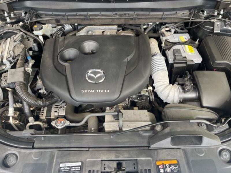 CX-8