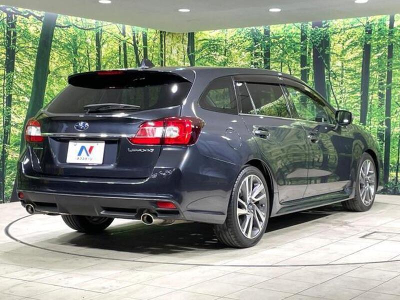 LEVORG